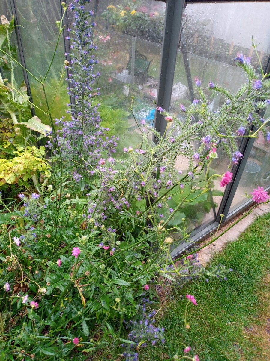 Power shower rain this morning.