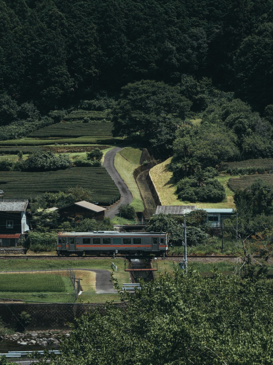 緑を駆け抜ける名松線。