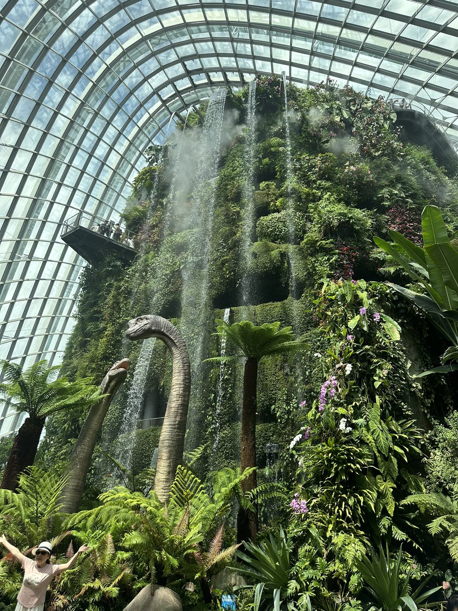 holly_wren's tweet photo. @CredibleCrypto Go to Marina Bay Sands, you can get into one side with minimal $30 spend, the other side it $200 per person. Book ahead online &amp; go for sunset. the gardens by the bay do a light show a couple of times an evening. The cloud garden is Jurassic park at present; it’s super fun! https://t.co/grzv8Lv5aU