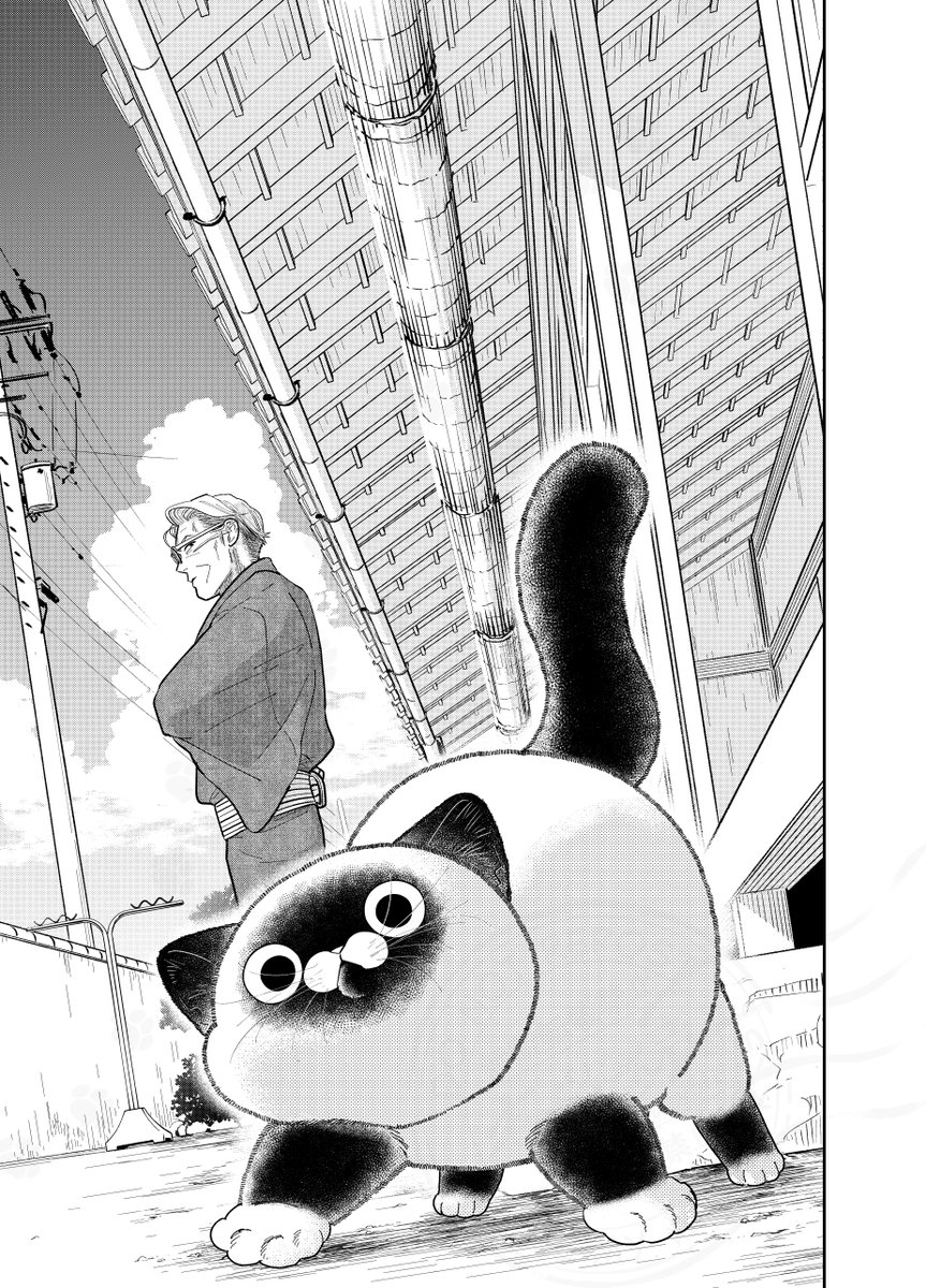 野良猫と元極道が過ごした7月のとある日の話。

(0/3)

#漫画が読めるハッシュタグ 
#七夕 