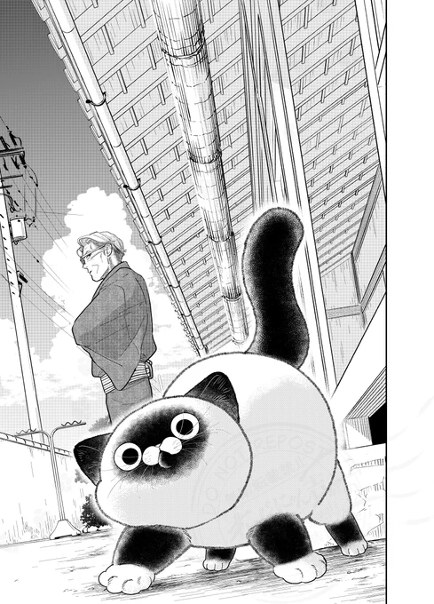 野良猫と元極道が過ごした7月のとある日の話。

(0/3)

#漫画が読めるハッシュタグ 
#七夕 