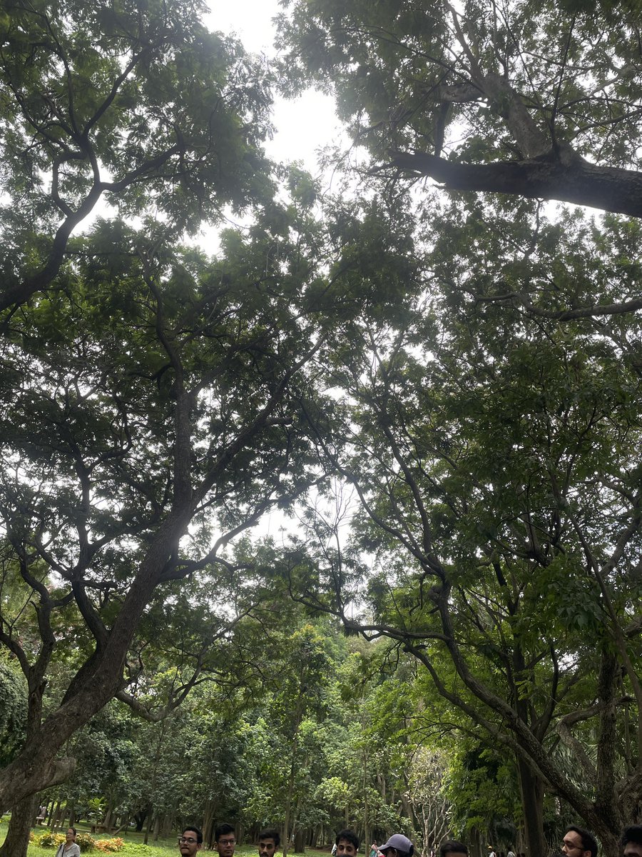 You know your week is sorted if you start the Sunday with <a href="/cubbon_run/">Cubbon Run</a>