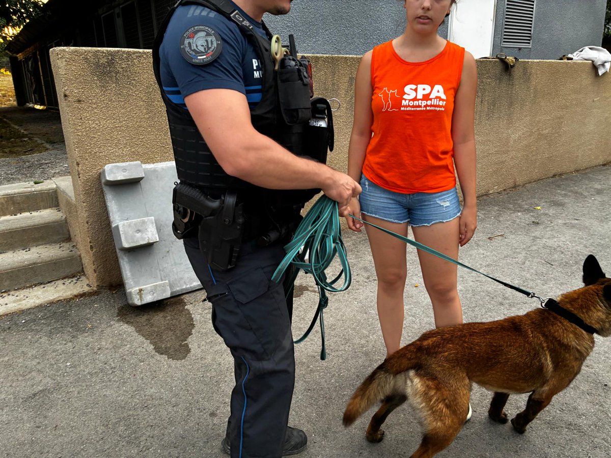 Ils sont tous sains et saufs 🐕🐈🙏bravo aux bénévoles et l'unité capture de <a href="/PMMontpellier/">Police Municipale de Montpellier</a> qui ont permis l'évacuation des chiens et chats de la SPA vers notre Zoo en mode"Taxis de la Marne" <a href="/ArizteguiEddine/">Eddine Ariztegui</a> <a href="/MDelafosse/">Michaël Delafosse</a> <a href="/CoteMontpel/">Sébastien Cote 🇫🇷🇬🇷🇪🇺</a> <a href="/MLMontpellier/">Midi Libre Montpellier</a> <a href="/myMetropolitain/">MÉTROPOLITAIN</a> <a href="/GazettedeMtp/">Gazette Live Montpellier</a>