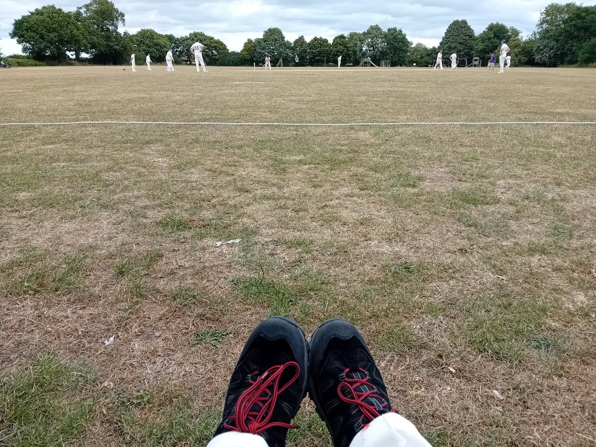 First game for too many years. Turned out for the village 2nd XI. 2 runs (not out) in a stand of 28. 45 overs of fielding at deep fine leg and midwicket. Took a 'match-changing catch', leading to a win by 20 runs.
Everything hurts today.