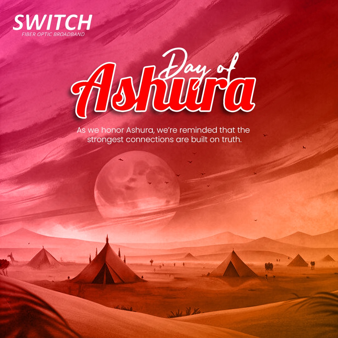 Switch Fiber tweet media