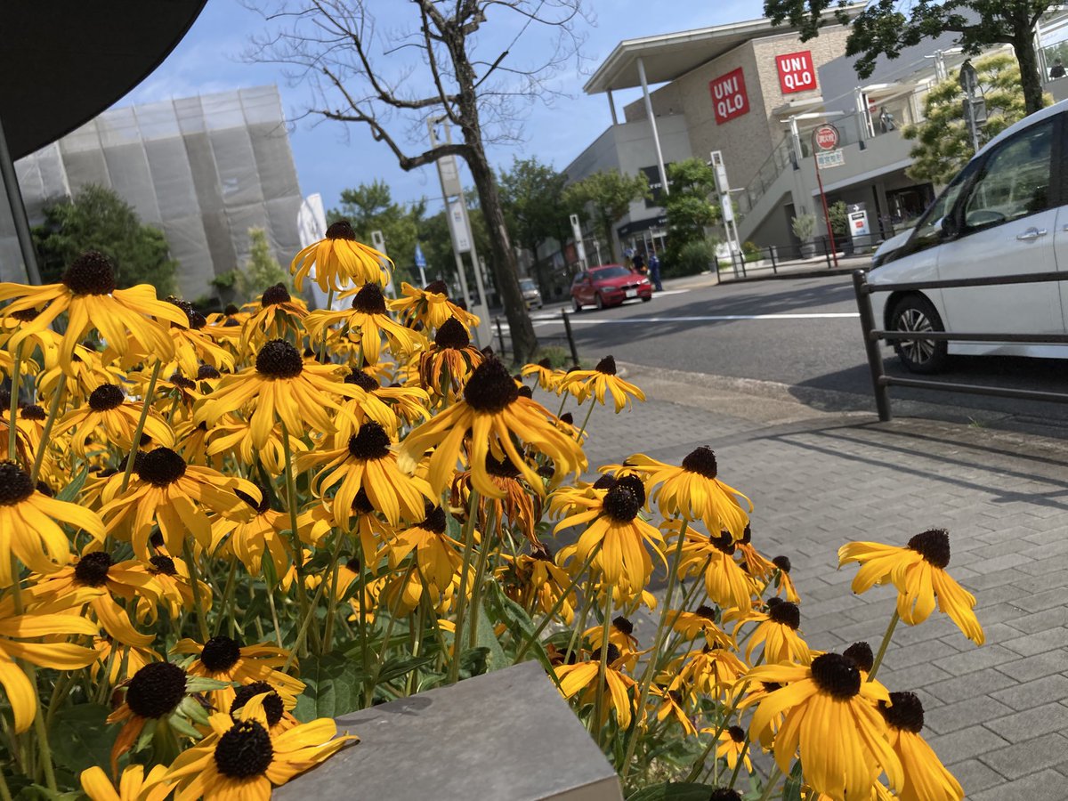 ugachanblog's tweet image. みなさん こんにちは😊
週末は晴天猛暑日で身体が追いつかない
どうぞ体調には気をつけてください
いつも通りジム ウォーキング🚶♀️から
簿記勉 問題集で苦戦中ですが
ふくしままさゆき先生の動画に
助けられながらすすめております😅
午後から友人が働く星ヶ丘へ
暑さの中にも少し涼を感じられた✨