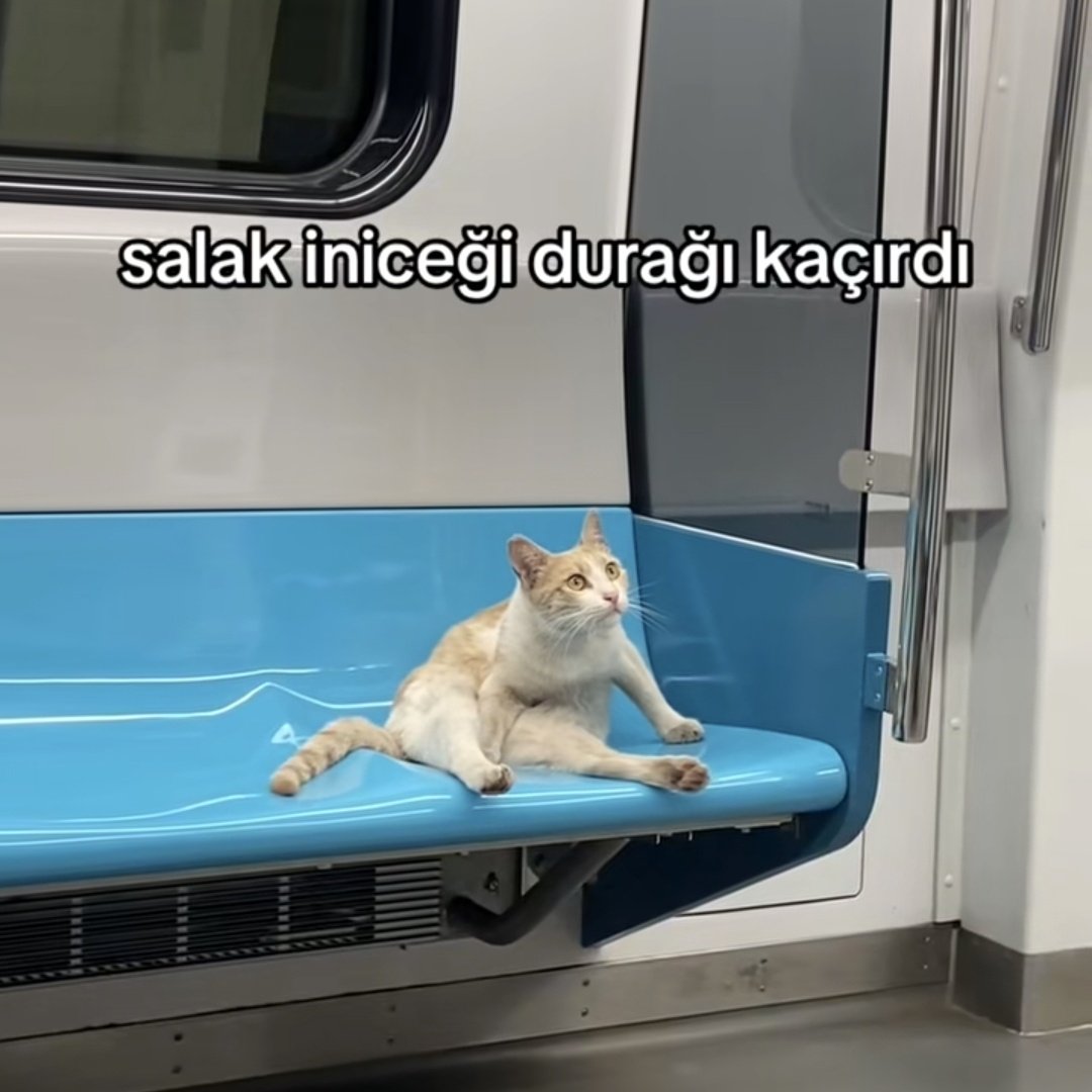 Toplu taşımada kaydırırken