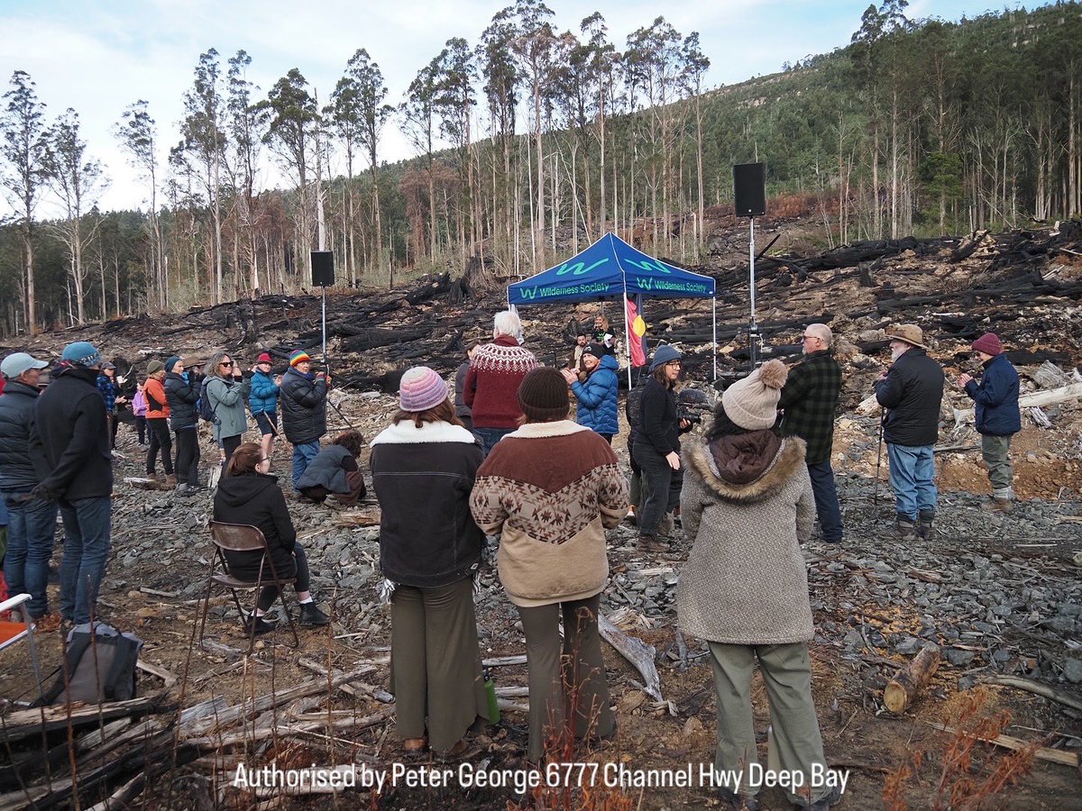 Indy4Franklin's tweet image. Thanks to the Wilderness Society for a day in what’s left of an old forest at Lonnavale, or what’s not left other than burnt biomass. Our forests are worth more standing than they are destroyed for export. We’ve subsidised the industry to the tune of around $1bn in the last 20yrs