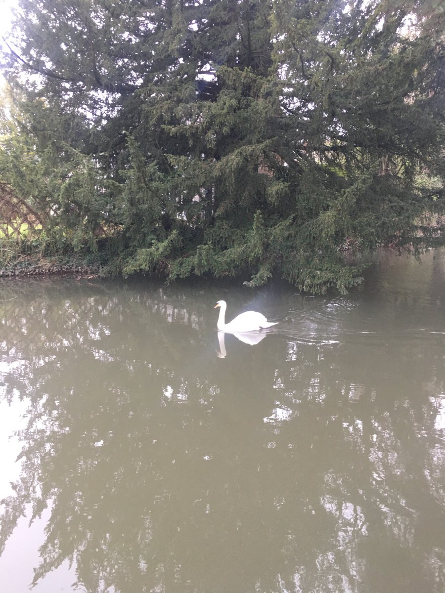 MerryAlbright's tweet image. Heading towards 6 yrs of housing moratorium in the Herefordshire Lugg due to river pollution.
The social, economic & ecological harm on the rural community has been catastrophic.
I find it incredible that we have not implemented restoration & protection actions yet.
Why not?