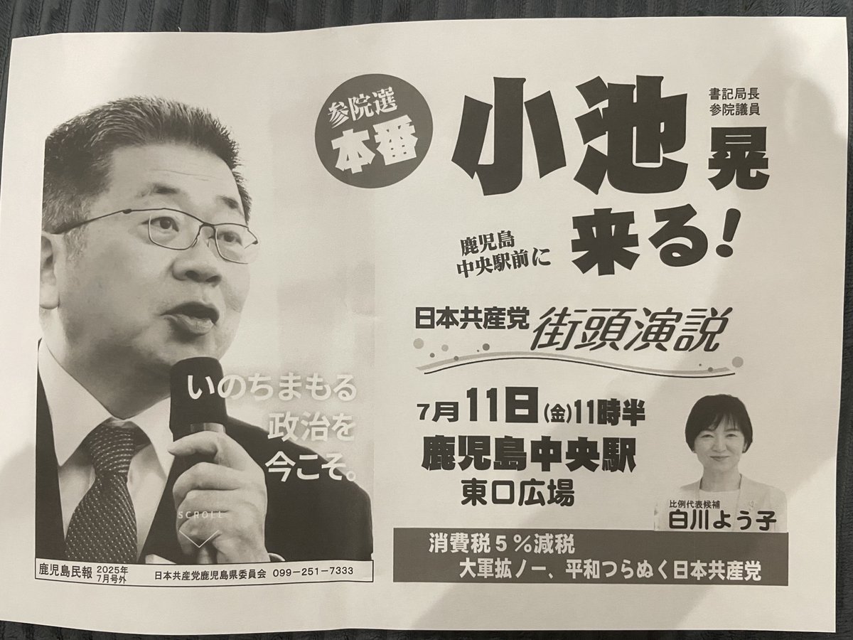 N党・立花氏「人種差別します」｜京都新聞デジタル 京都・滋賀