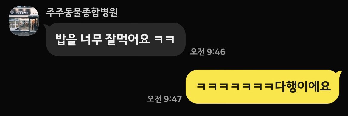 우리 물만두는 36일 째 입원중입니다😢
밥을 잘 먹어서 벌써 오동통통 살이 올랐어요.
심장사상충은 내외부구충을 정기적으로 하는 고양이에게는 절대 전염되지 않으며, 
현재 물만두가 느끼는 통증도 없답니다.

🆘물만두의 장기임보처를 찾고 있어요.
현재는 좁은 케이지에서 입원중입니다.