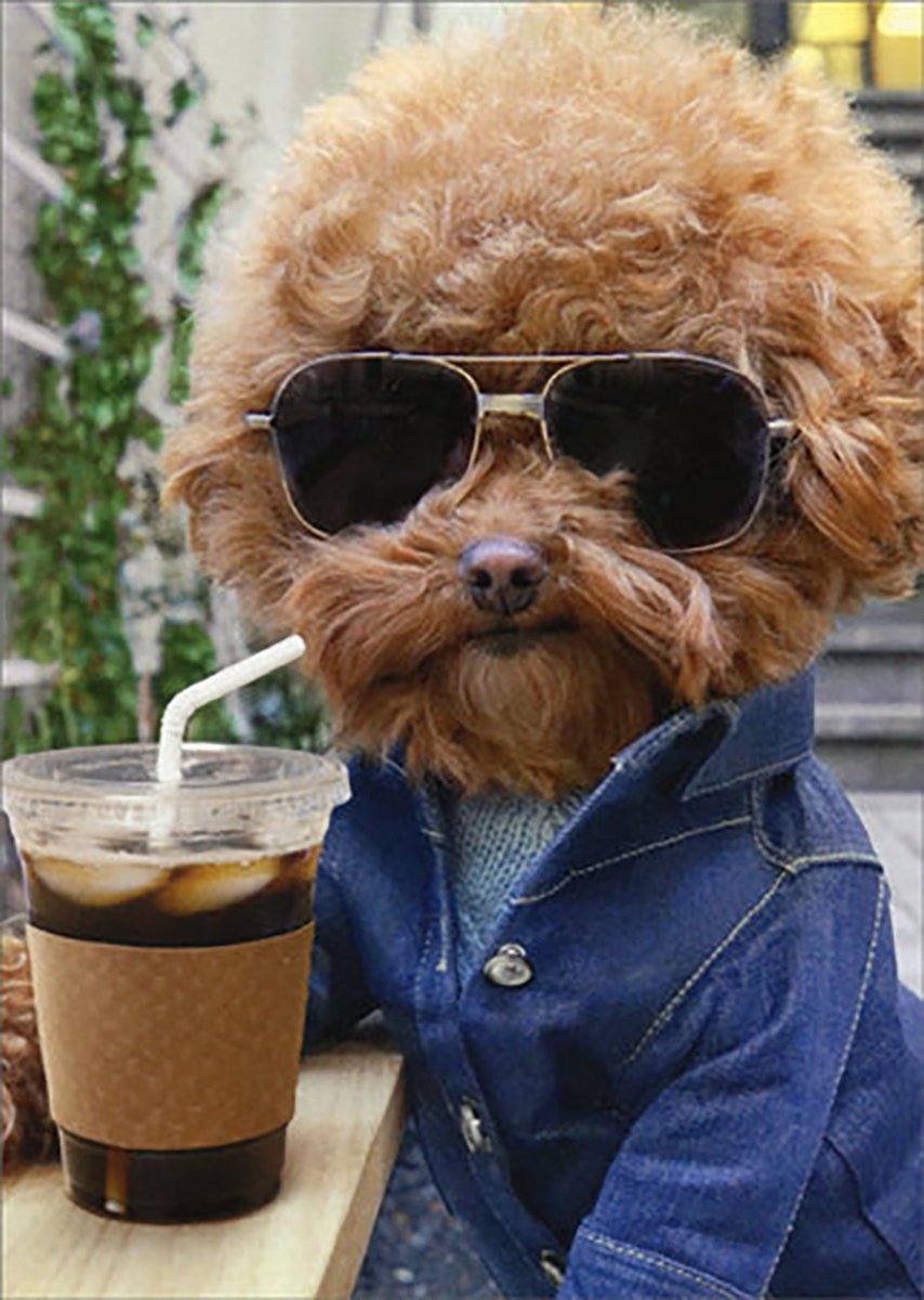 _BillyTheFish_'s tweet image. Can't wait to see Jeff Lynne's E.L.O. tonight!
I hope he brings his dog!