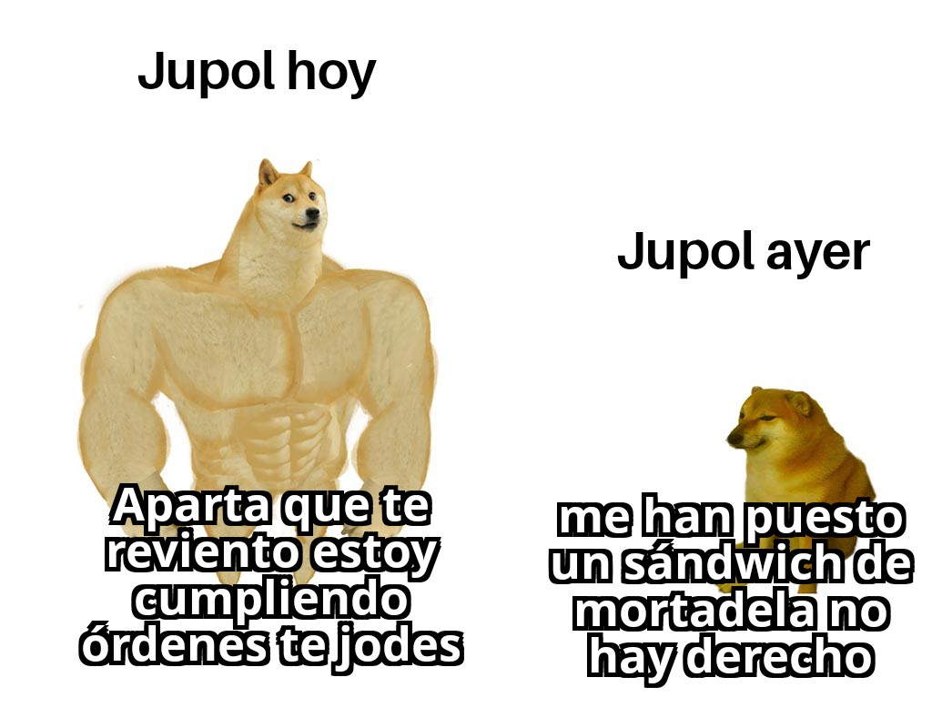 GvKXWosX0AAItJR