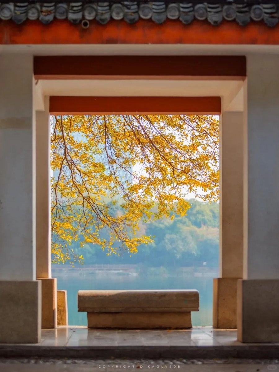 NanhuMedia's tweet image. Everyday beauty, quietly shining at Nanhu Park. 🌿📷
Tree-framed paths, glowing lake views, and moments of peaceful solitude — all waiting to be seen, not staged.

#NanhuPark #HiddenViews #NatureVibes #SlowLife #ScenicNanning #EverydayMagic #PeacefulPlaces