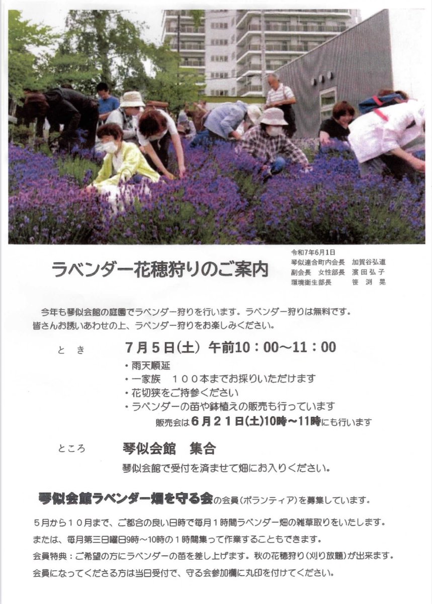 doyokotoni's tweet photo. 琴似連合町内会さんが企画しているこの季節の恒例イベント
🪻ラベンダー花穂狩り🪻
たくさんの参加者の皆さんで賑わっていました✨
琴似屯田兵入村150周年＆ことに夏まつりのPRもさせていただきました！
#琴���屯田150 https://t.co/4u5mPrJm5H