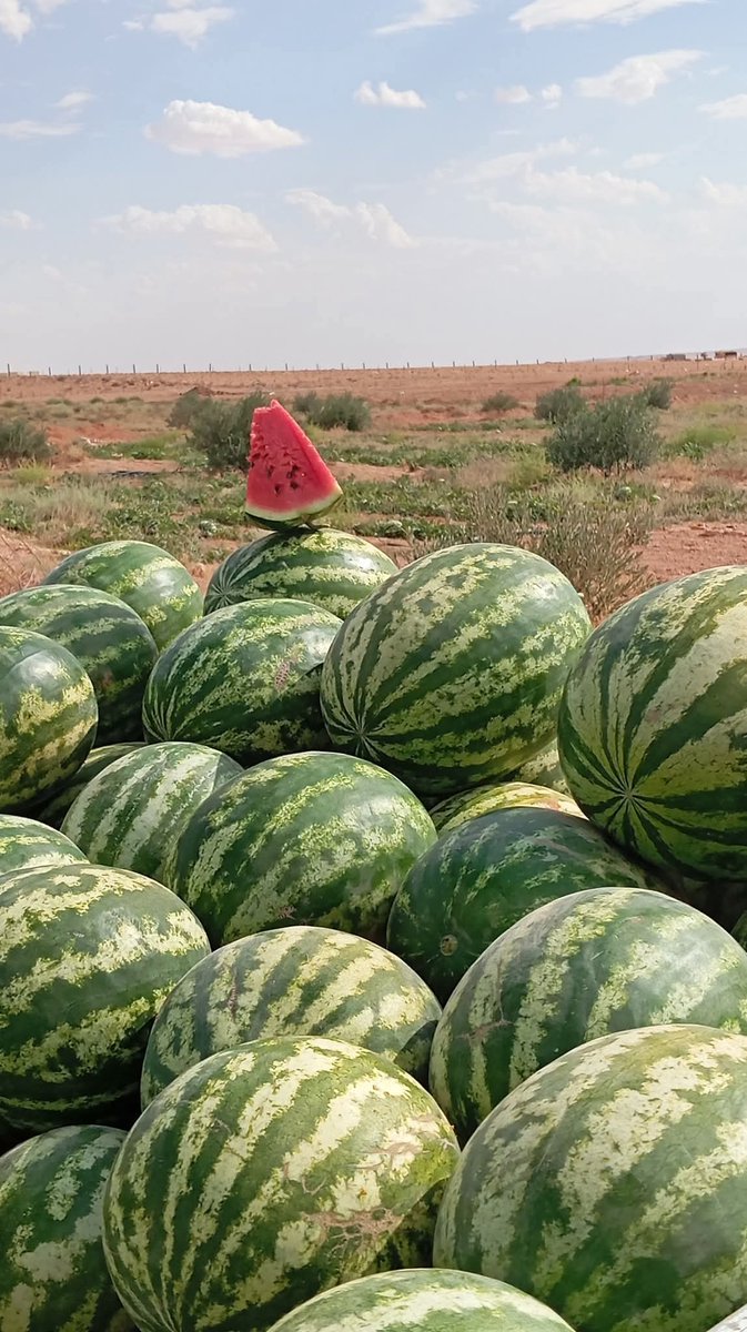 صباح الخير ...