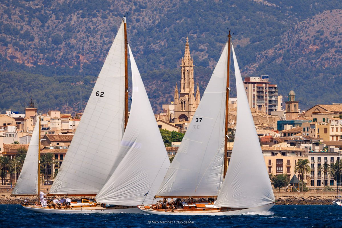#vela La inscripción de la XXX Regata Illes Balears Clássics <a href="/clubdemarpalma/">CLUB DE MAR-MALLORCA</a>  roza los 40 inscritos de 14 nacionalidades. <a href="/oficial_rfev/">RFEV | Real Federación Española de Vela</a> <a href="/fbvela/">Fede Balear Vela</a> <a href="/MallorcaPressSL/">MallorcaPress</a> <a href="/gaceta_nautica/">Gaceta Náutica</a>  
regatistas-virtuales.net/noticias/notic…
