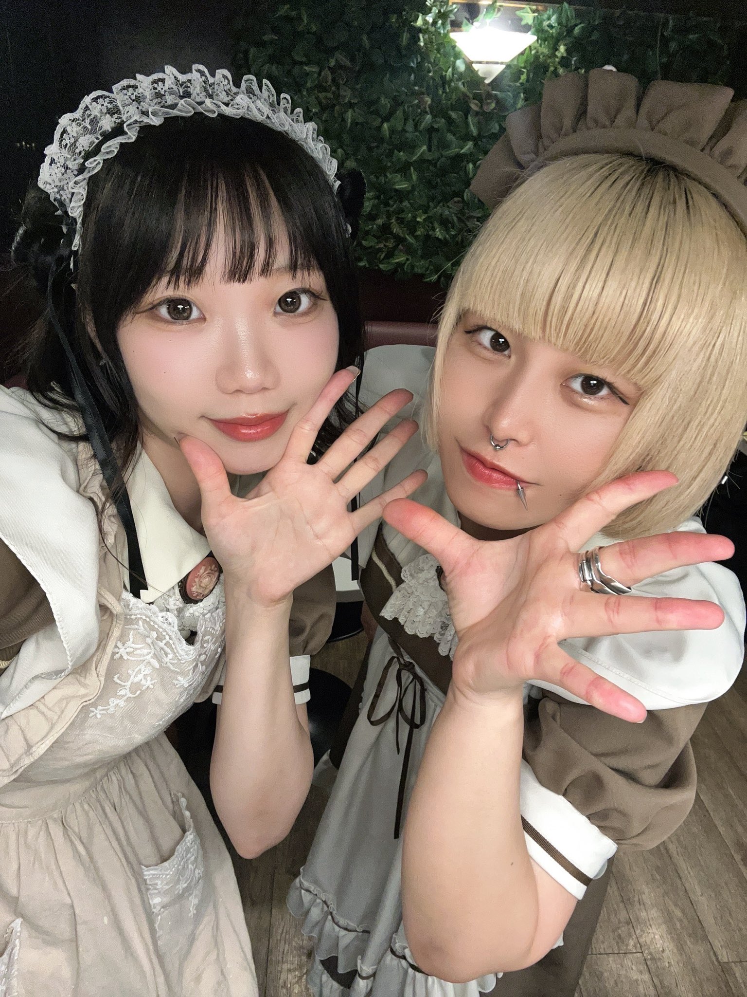 喫茶とまりき 81aPPy9H3rL._UF350,350_QL50_.jpg
