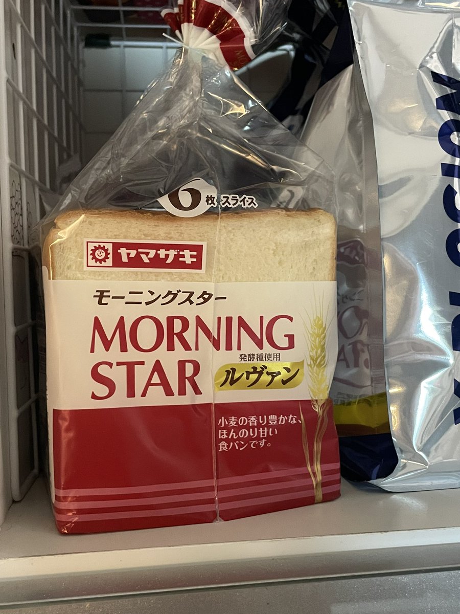 モーニングスター　フレイル型 モーニングスターとは フレイルという打撃武器の一種で、トゲのついた