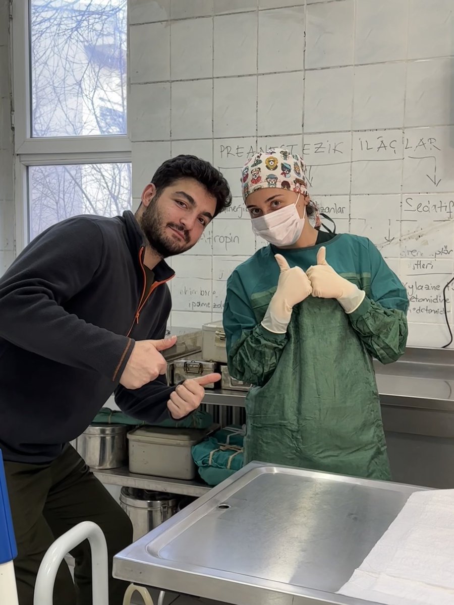 Türkiyeli değil, TÜRK veteriner hekimleriz.