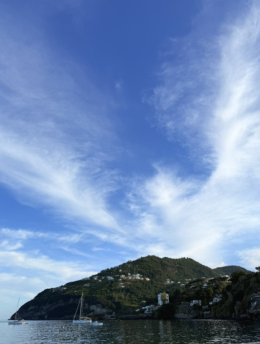 snwlprd.eth (@snwlprdwntsfrz) on Twitter photo 