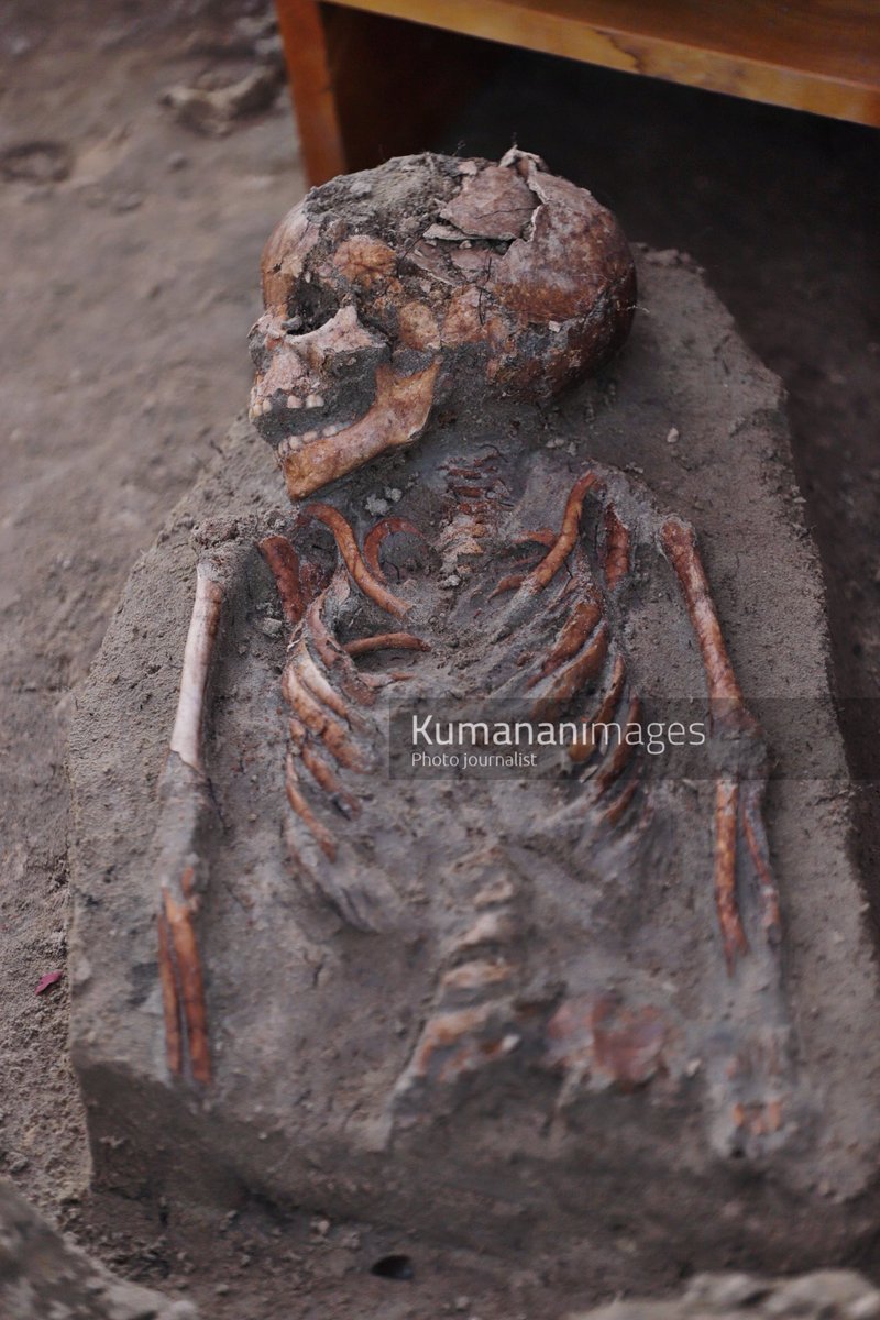 kumanan93's tweet photo. Chemmani Mass Grave – Phase 2, Day 11

As of today, a total of 47 human skeletons have been identified, with 44 fully exhumed.

Excavation also continued at a nearby location identified through satellite imagery by Prof. Raj Somadeva.

#chemmanimassgrave https://t.co/ucQrMKAGU7
