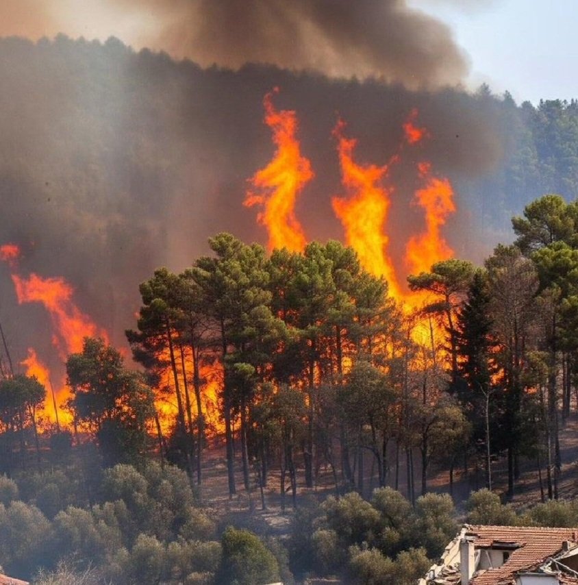 Yanacak tek bir ağaç kalmayınca orman yangını sona erer. 
Ve bir yetkili çıkar
"Orman yangınları tamamen söndürülmüştür" der.