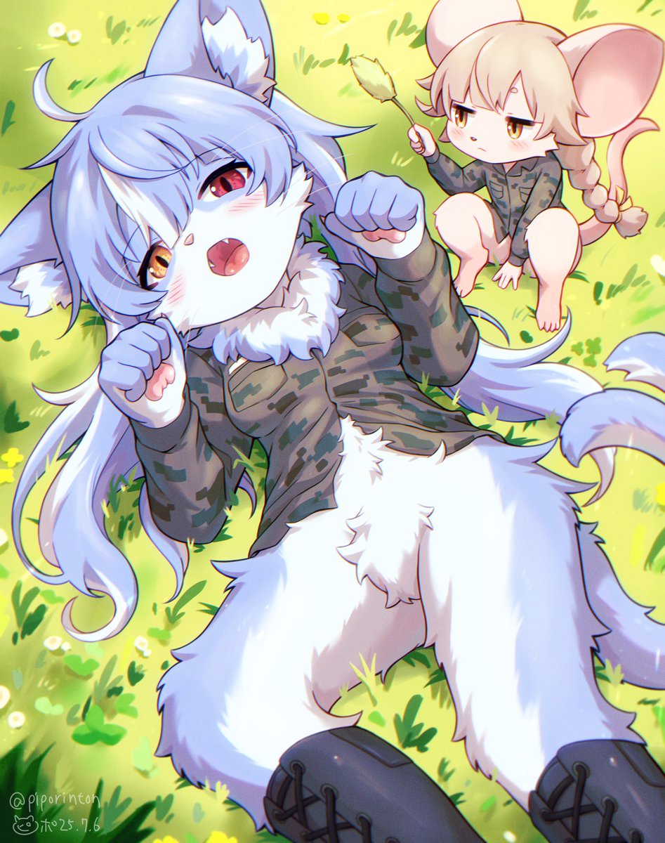 piporinton's tweet image. おまねこくんはネコチャンだから普段はツンツンしてそっけないんだけどたまにゴロンと寝転がっておなかなでて欲しそうにしたりするんやろなぁ…(ﾆﾁｬｱ