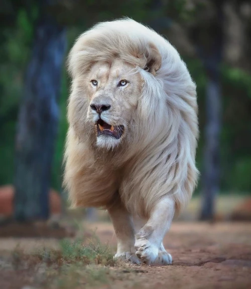 LeoAuteur's tweet photo. Le #shampooing qui va bien sur cette #photo de Simon Needham https://t.co/zeKMN7KaSU