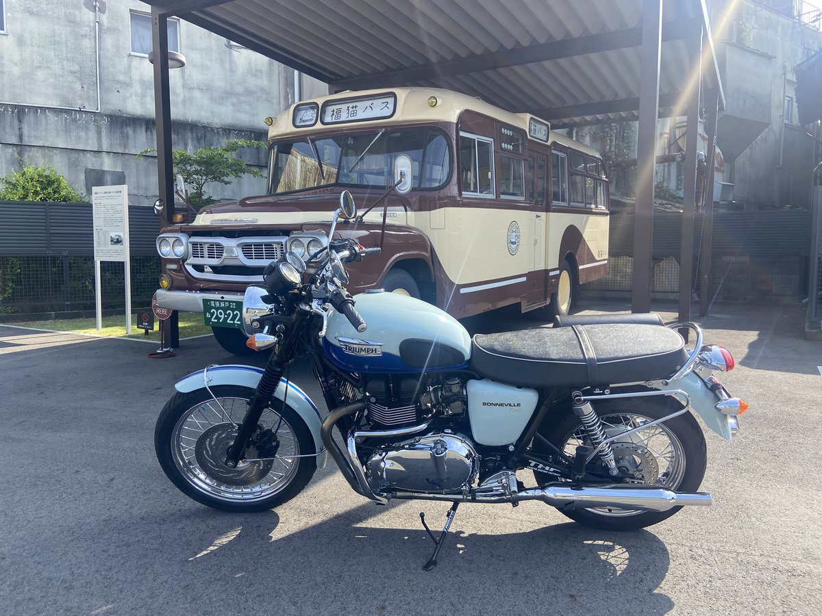 AnavelGatoFF14's tweet photo. Triumph Bonneville T100 Sixty2010
久しぶりのボンネビルと似合うまねきねこ!
瀬戸にある喫茶店敷地内にある、巨大まねきねことボンネットバス
#TriumphBonnevilleT100
#studio894
#巨大まねきねこ https://t.co/dCtJefBL8a