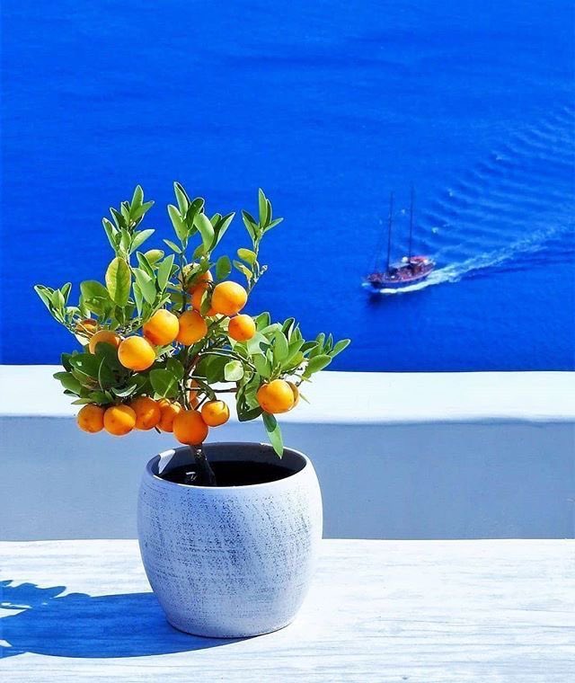Rebeka (@rebeka80721106) on Twitter photo <a href="/LoredanaStella/">Loredana</a> <a href="/DonatoMarinelli/">Donato</a> <a href="/Dida_ti/">Dida</a> <a href="/DavLucia/">lucia davi</a> <a href="/albertopetro2/">Alberto Petroccione</a> <a href="/CasaLettori/">Casa Lettori</a> <a href="/redne2013/">Ella 🇮🇹</a> <a href="/SalaLettura2/">#SalaLettura (Giulia)</a> <a href="/Mercurimc/">mariac mercuri</a> <a href="/sorridicncausa/">sun🔆kissed</a> <a href="/672Cilia/">Giusi </a> <a href="/scimonelli/">Scimonelli Giacomo</a> <a href="/PasqualeTotaro/">Pasquale Totaro</a> <a href="/BrindusaB1/">BrindusaB</a> <a href="/SimonaMascaro64/">@SimonaMascaro64</a> <a href="/lagatta4739/">lagatta4739</a> <a href="/tafudany1/">daniela tafuro</a> <a href="/gigliointi/">Gigliola</a> <a href="/sonlello/">sonlello</a> <a href="/MaraBussani/">Bussani mara</a> <a href="/AntonellaLaTor6/">Antonella La Torre</a> Grazie di cuore a Te, cara Loredana. Felice e gioiosa domenica ❤️🏖🌊🎼🫶💯
<a href="/LoredanaStella/">Loredana</a> <a href="/LoredanaStella/">Loredana</a> <a href="/DonatoMarinelli/">Donato</a> <a href="/Dida_ti/">Dida</a> <a href="/DavLucia/">lucia davi</a> <a href="/albertopetro2/">Alberto Petroccione</a> <a href="/CasaLettori/">Casa Lettori</a> <a href="/redne2013/">Ella 🇮🇹</a> <a href="/SalaLettura2/">#SalaLettura (Giulia)</a> <a href="/Mercurimc/">mariac mercuri</a> <a href="/sorridicncausa/">sun🔆kissed</a> <a href="/672Cilia/">Giusi </a> <a href="/scimonelli/">Scimonelli Giacomo</a> <a href="/PasqualeTotaro/">Pasquale Totaro</a> <a href="/BrindusaB1/">BrindusaB</a> <a href="/SimonaMascaro64/">@SimonaMascaro64</a> <a href="/lagatta4739/">lagatta4739</a> <a href="/tafudany1/">daniela tafuro</a> <a href="/gigliointi/">Gigliola</a> <a href="/sonlello/">sonlello</a> <a href="/MaraBussani/">Bussani mara</a> <a href="/AntonellaLaTor6/">Antonella La Torre</a> Grazie di cuore a Te, cara Loredana. Felice e gioiosa domenica ❤️🏖🌊🎼🫶💯
<a href="/LoredanaStella/">Loredana</a>