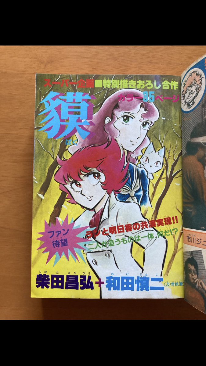 まんが【文庫版】柴田昌弘傑作集　全7巻初版本　迷走回路　バースト　スレッジ　文庫 Amazon.co.jp: 盗まれたハネムーン (花とゆめCOMICS) : 柴田