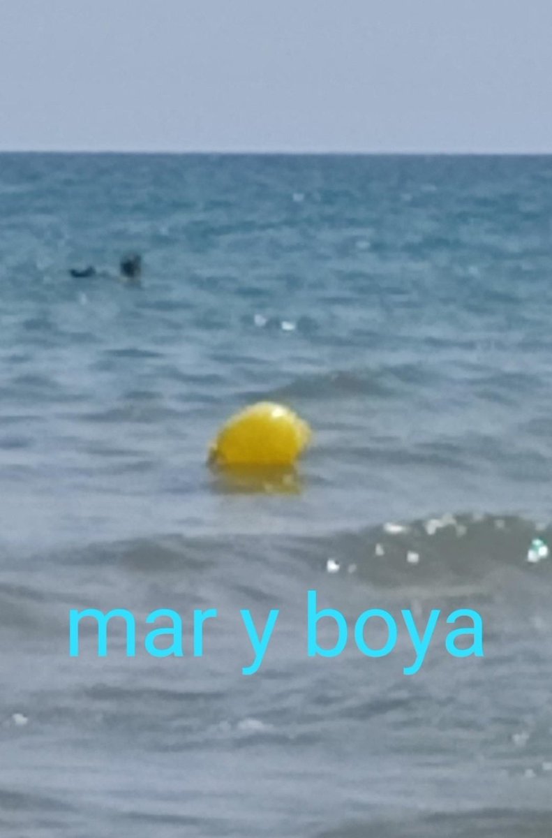 con razón va tan rápido cuando llueve 🐐