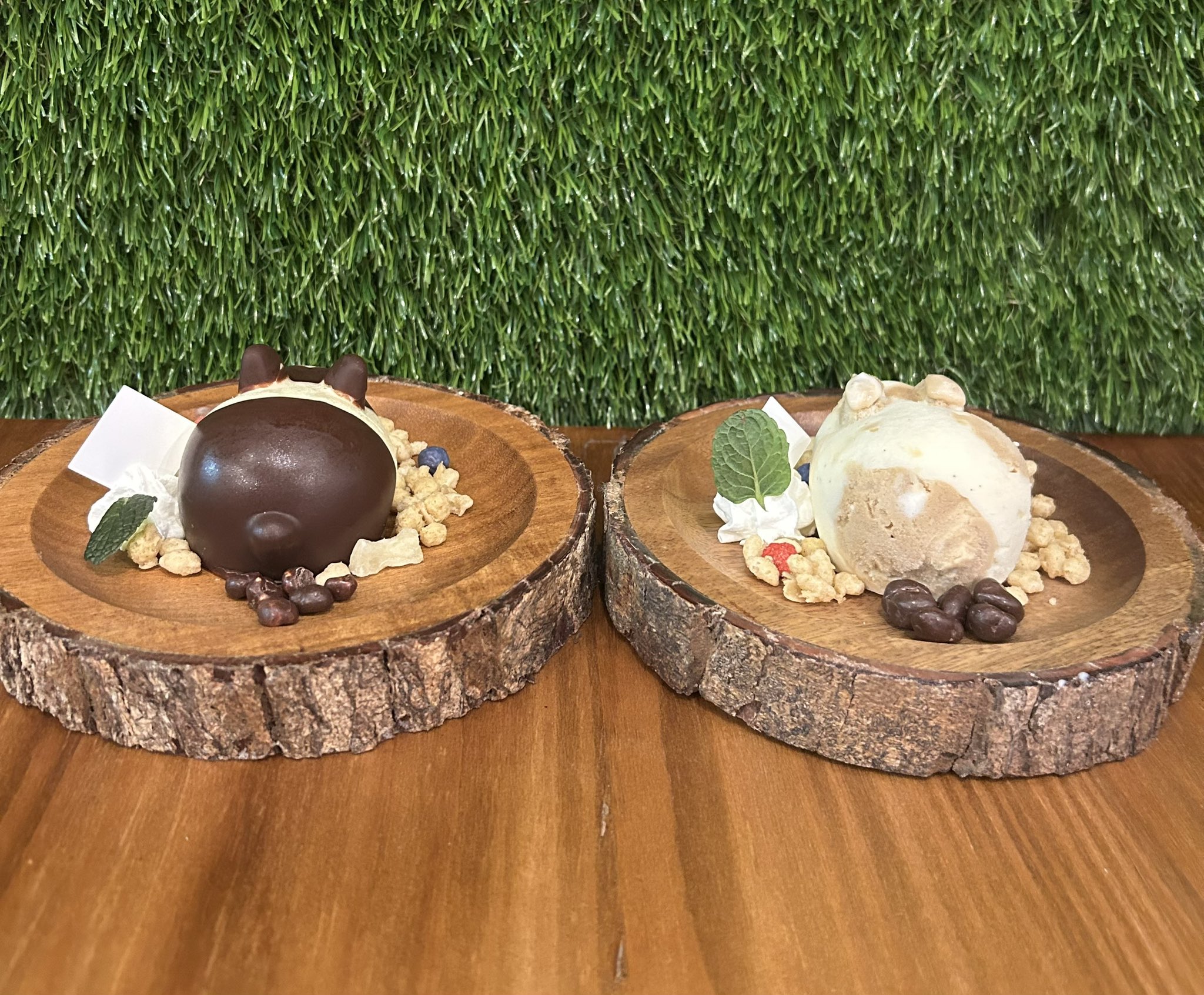 うさぎ専門店+オーガニックcafé Ashiya月兎・ぷらす | 本日一組