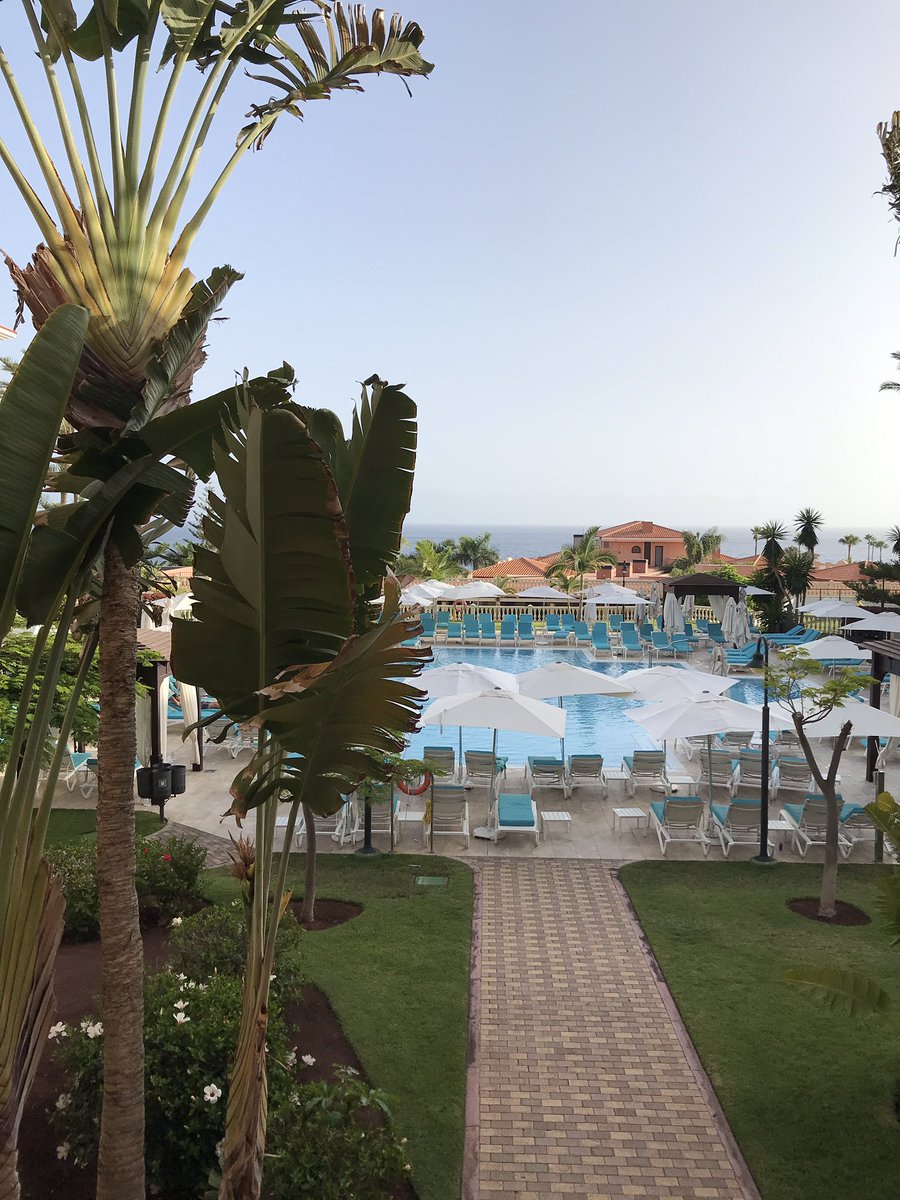 G m 🤝happy Sunday from the canaries 🌴🌴☀️