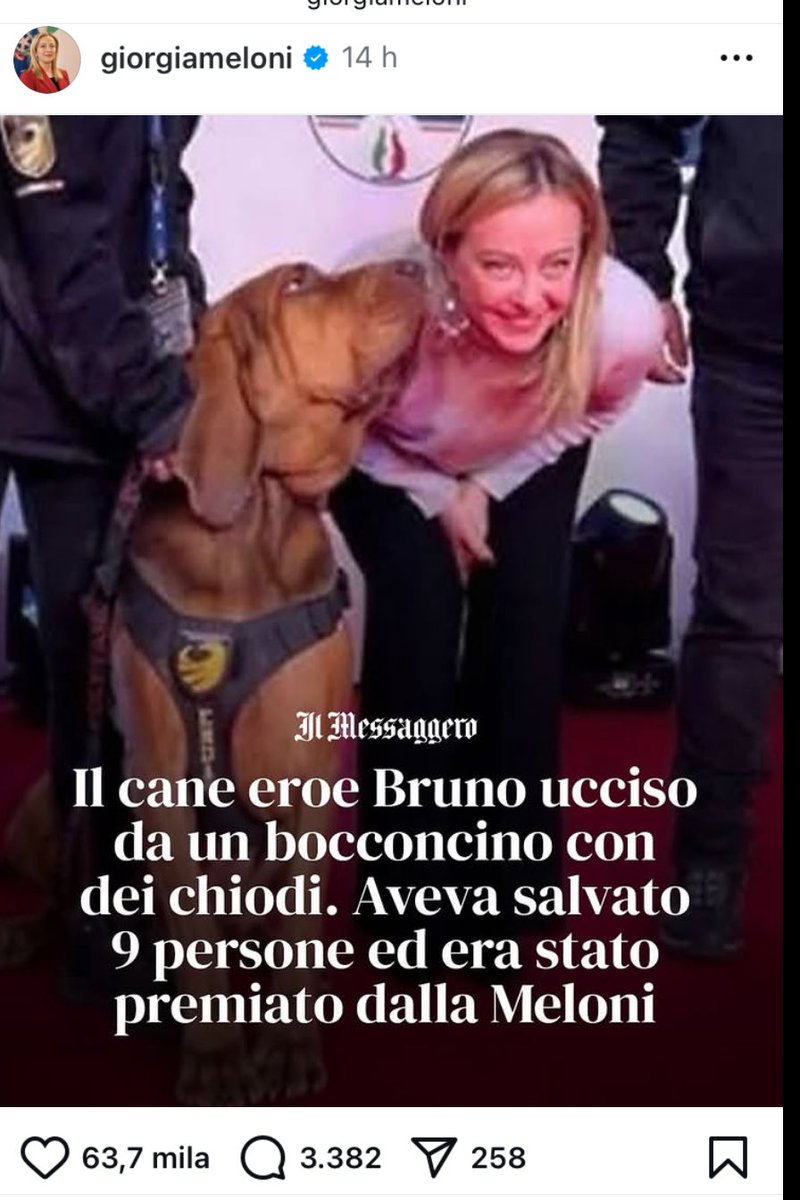 Gianluca Felicetti (@glfelicetti) on Twitter photo Potremmo dirti “caccia” oppure “circhi”. Gli animali sono tutti uguali.
Ma il tuo ringraziamento a Bruno, ucciso con un boccone avvelenato, ci fa ricordare che sono 17 (!) anni che l’Ordinanza del <a href="/MinisteroSalute/">Ministero della Salute</a> attende di diventare Legge efficace.
Che ne dici <a href="/GiorgiaMeloni/">Giorgia Meloni</a> ? Potremmo dirti “caccia” oppure “circhi”. Gli animali sono tutti uguali.
Ma il tuo ringraziamento a Bruno, ucciso con un boccone avvelenato, ci fa ricordare che sono 17 (!) anni che l’Ordinanza del <a href="/MinisteroSalute/">Ministero della Salute</a> attende di diventare Legge efficace.
Che ne dici <a href="/GiorgiaMeloni/">Giorgia Meloni</a> ?