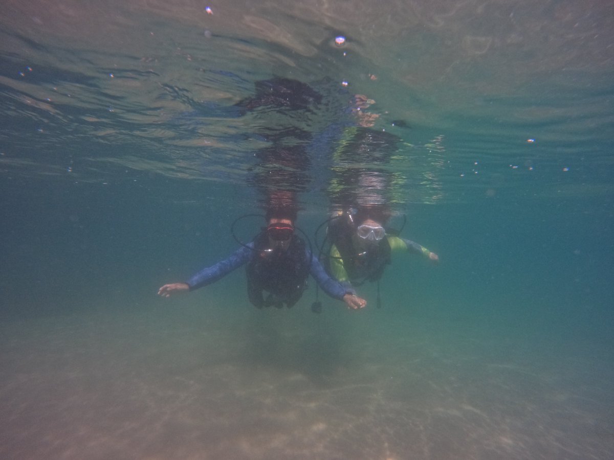umizono's tweet image. 夏です! 今日は体験ダイビング。
①羽尾旧突堤 水温27.2度(水深4m)透視度5~10m
羽尾港内の水温はほぼ真夏!海中が超快適!魚影も日に日に濃くなってきています。・・・があとは透視度・・・。#鳥取県 #岩美町 #羽尾 #ダイビング