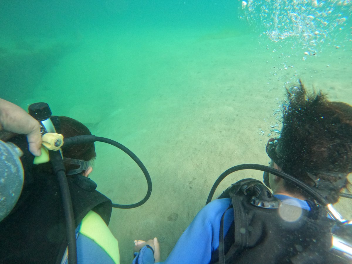 umizono's tweet image. 夏です! 今日は体験ダイビング。
①羽尾旧突堤 水温27.2度(水深4m)透視度5~10m
羽尾港内の水温はほぼ真夏!海中が超快適!魚影も日に日に濃くなってきています。・・・があとは透視度・・・。#鳥取県 #岩美町 #羽尾 #ダイビング