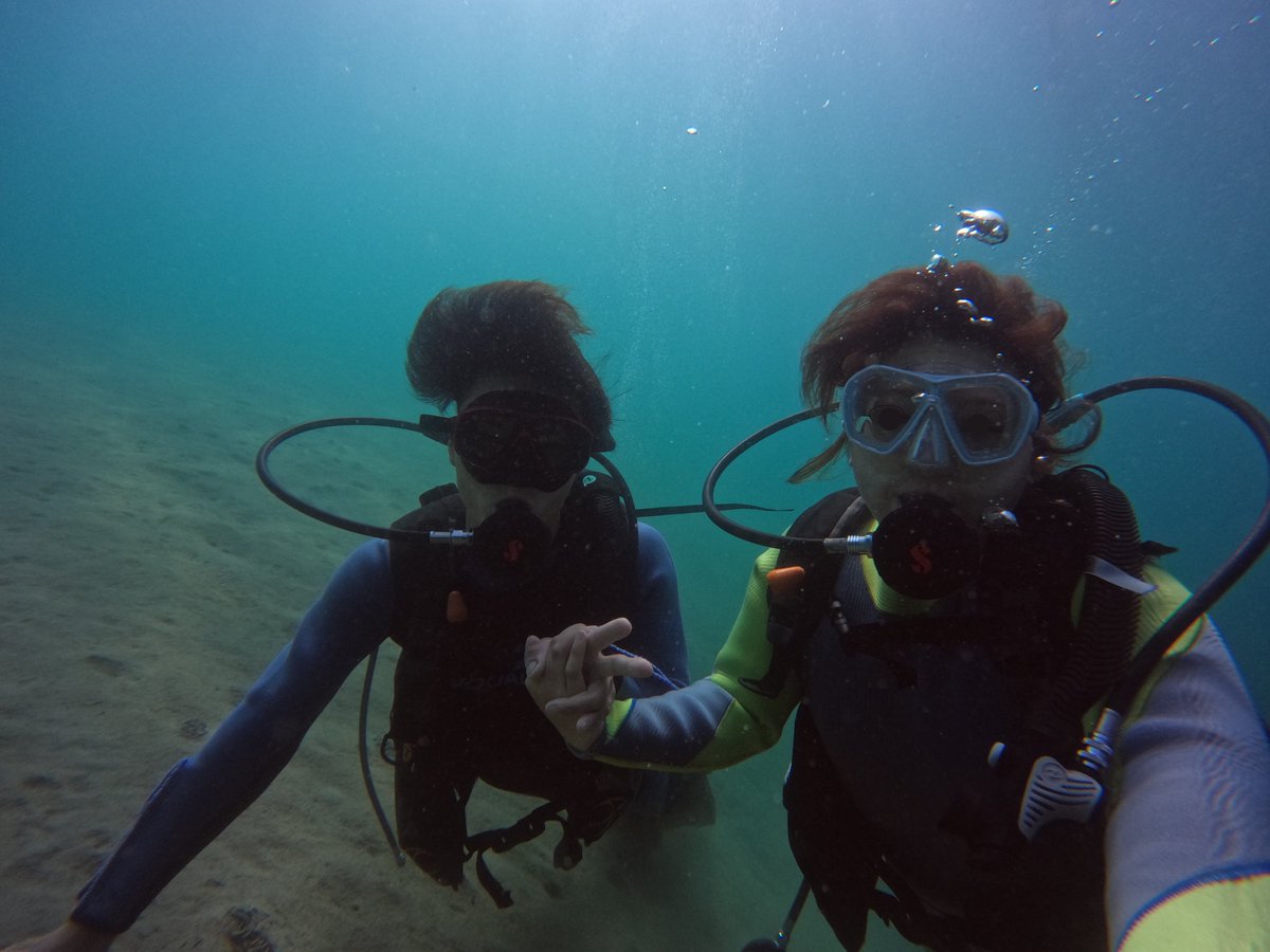 umizono's tweet image. 夏です! 今日は体験ダイビング。
①羽尾旧突堤 水温27.2度(水深4m)透視度5~10m
羽尾港内の水温はほぼ真夏!海中が超快適!魚影も日に日に濃くなってきています。・・・があとは透視度・・・。#鳥取県 #岩美町 #羽尾 #ダイビング