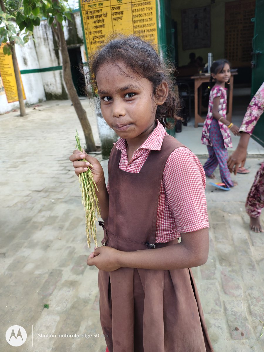 क्या आपको लगता है कि इनसे इनकी शिक्षा छीन कर स्कूल मर्ज करके सही कर रहे हैं आप......
 स्कूल मर्ज पर रोक लगाइए 🙏
#Justiceforschoolschildren
