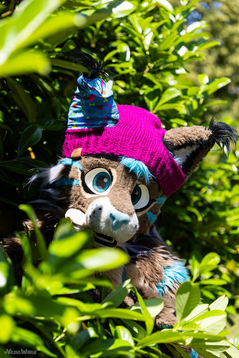Vazul (@vazulwolf) on Twitter photo 🌿 Hiding in the Bushes
🐱<a href="/LaakoLynx/">LaakoLynx 🔜 CanFur🇨🇦 / FBL🇫🇷</a>
#örli_försztivál2025 #furryfandom #fursuit 🌿 Hiding in the Bushes
🐱<a href="/LaakoLynx/">LaakoLynx 🔜 CanFur🇨🇦 / FBL🇫🇷</a>
#örli_försztivál2025 #furryfandom #fursuit