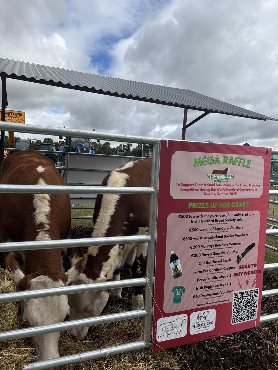 AgriAware's tweet image. Feeding time before a busy day at Flavours of Fingal !
#FlavoursofFingal #Feedingtime