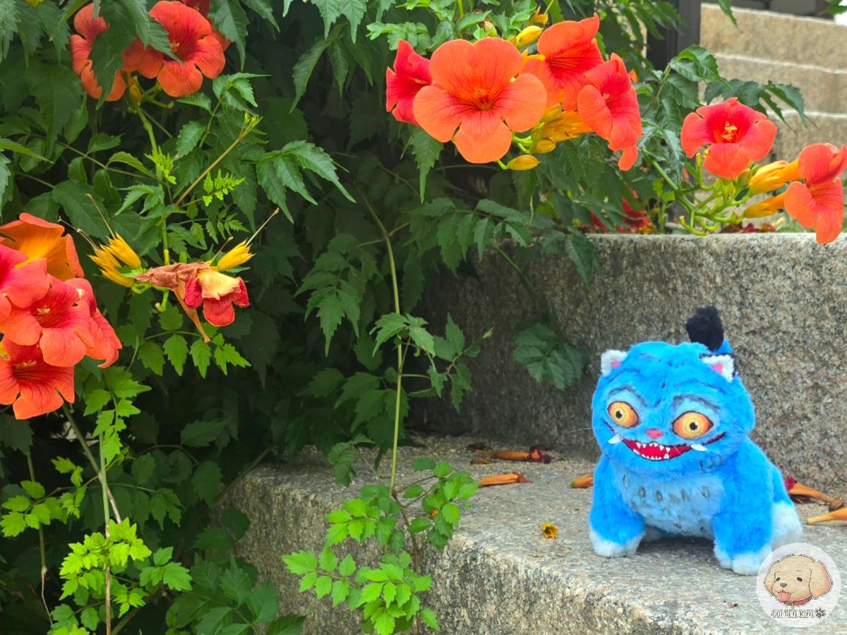 kimgolden_wal's tweet image. 더피랑 능소화🐯🌺

#KPOPDEMONHUNTERS