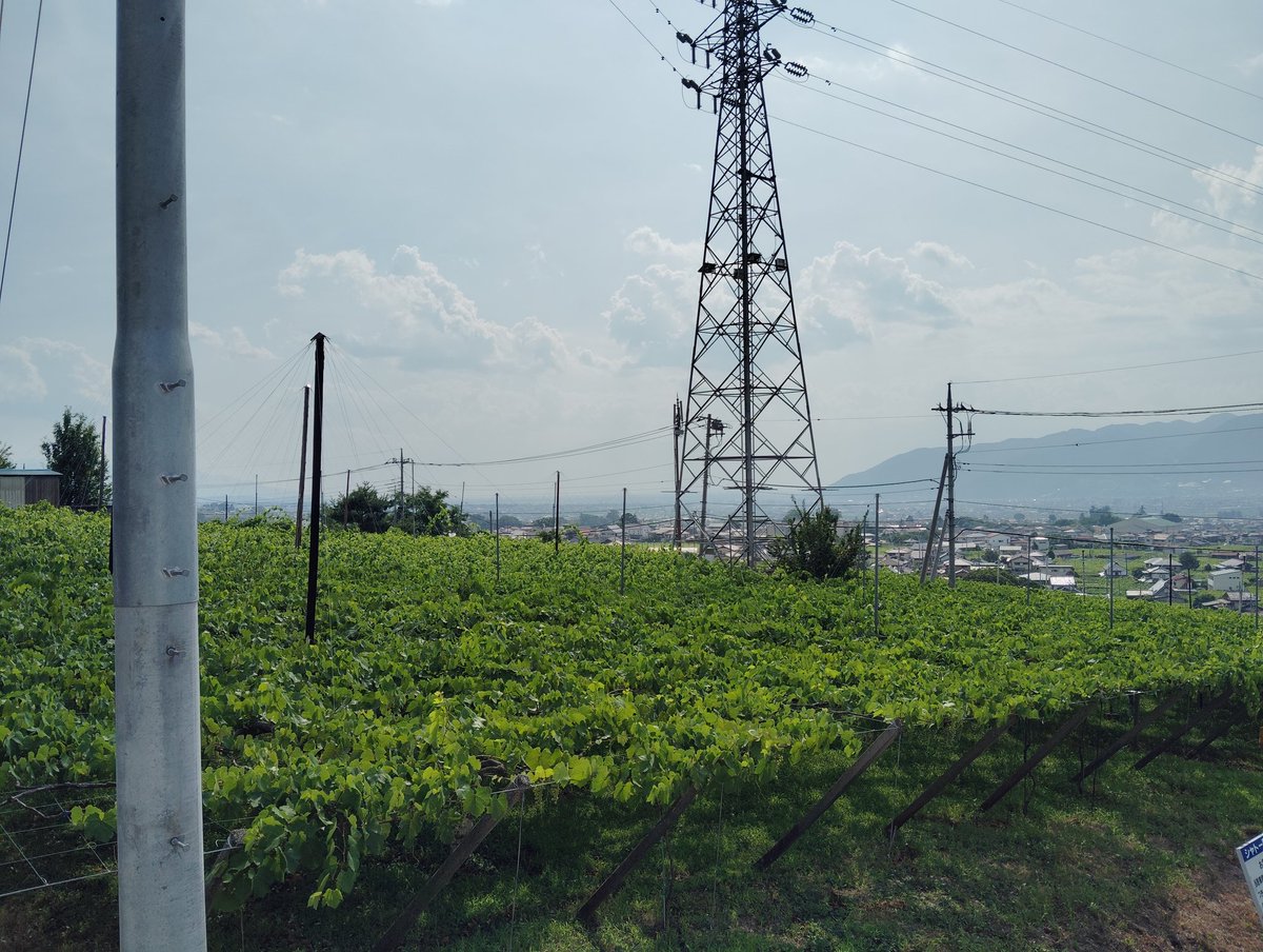 本日は町内会のバス旅行でした。河口湖周辺の観光と山梨のワイン工場に伺いました。道中地域の方のそれぞれの人生の歩みについてお話を伺えたり、地域の困りごとなどをおしえていただきとても賑やかであっという間の時間となりました。