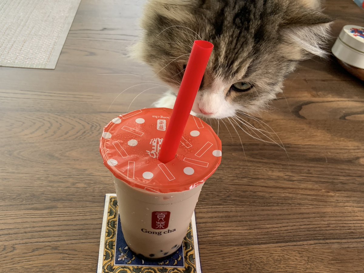 これはもう真夏の暑さなのでは…☀️皆様も熱中症にはお気をつけてくださいね。
本日の差し入れのタピオカ🧋