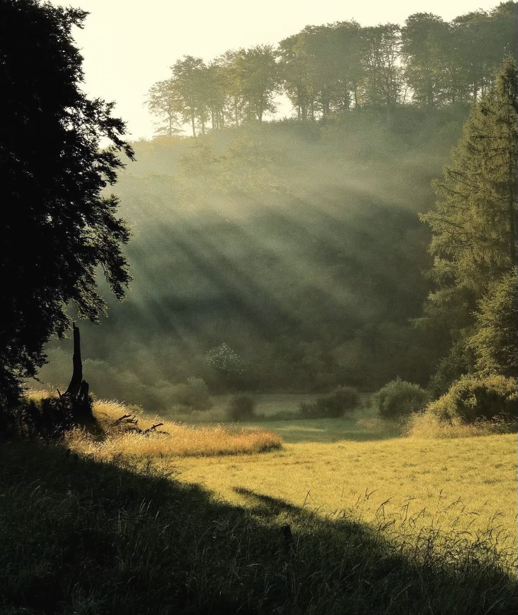 emctweep's tweet image. Sundays. Sun. Grass. Bridges.