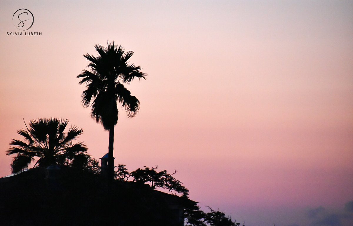 Sylvia Lubeth (@lubethsylvia) on Twitter photo Aahhh Sundays! Fun day? Rest day? Or all of the above!
Have a great day regardless🌸
#NatureBeauty #landscape #sunsets #sky #Tenerife #Canarias #photooftheday #PhotoMode #Spain #España <a href="/LoqueVeoTfe/">𝕊𝕖 𝕍𝕖 𝕖𝕟 𝕋𝕖𝕟𝕖𝕣𝕚𝕗𝕖</a> <a href="/Tenerife_Ocio/">Tenerife Ocio</a> <a href="/TenerifePunto/">Tenerife Punto</a> <a href="/EmocionesCan/">Emociones Canarias</a> Aahhh Sundays! Fun day? Rest day? Or all of the above!
Have a great day regardless🌸
#NatureBeauty #landscape #sunsets #sky #Tenerife #Canarias #photooftheday #PhotoMode #Spain #España <a href="/LoqueVeoTfe/">𝕊𝕖 𝕍𝕖 𝕖𝕟 𝕋𝕖𝕟𝕖𝕣𝕚𝕗𝕖</a> <a href="/Tenerife_Ocio/">Tenerife Ocio</a> <a href="/TenerifePunto/">Tenerife Punto</a> <a href="/EmocionesCan/">Emociones Canarias</a>