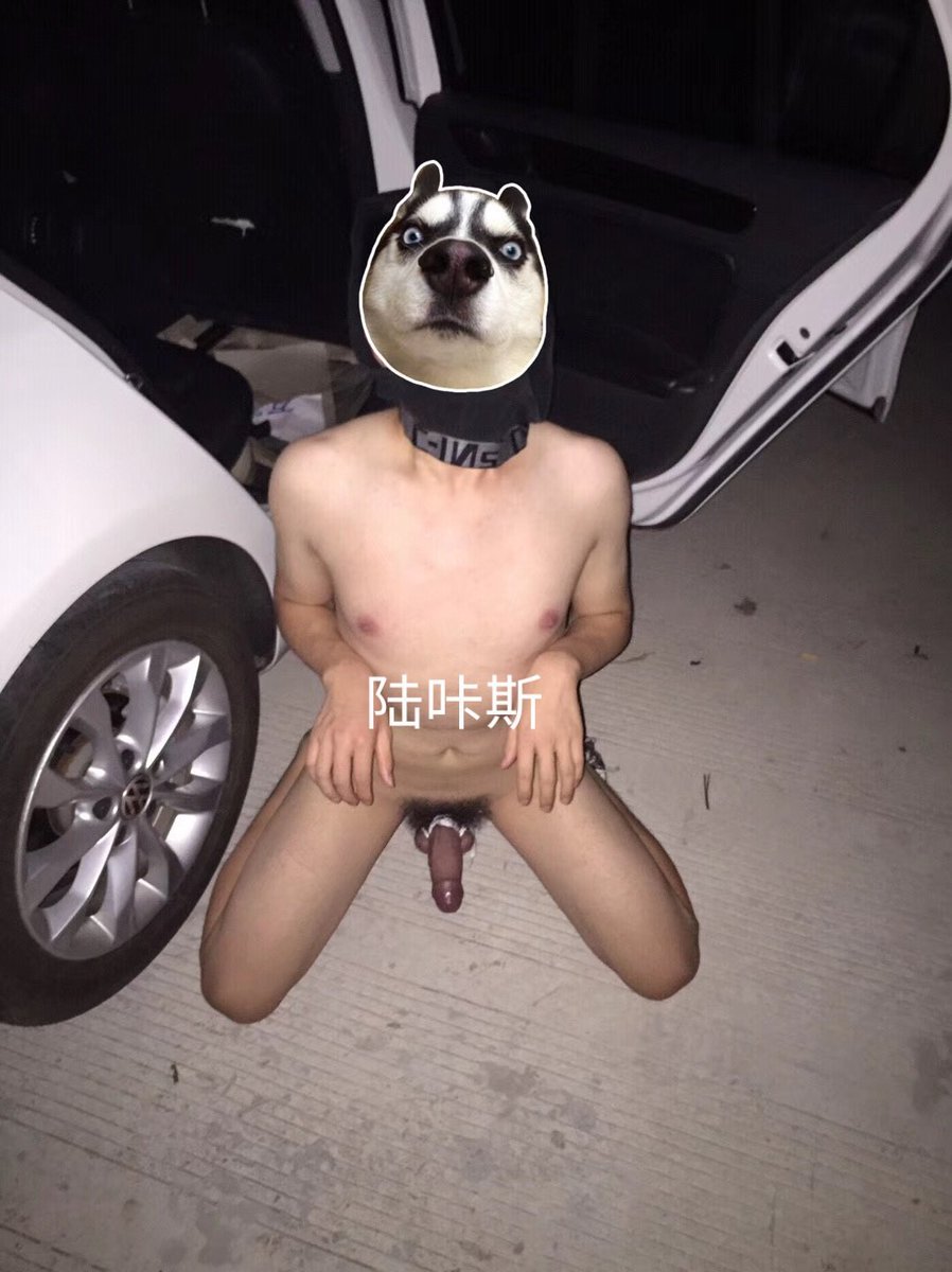 陆咔斯Lucas tweet media