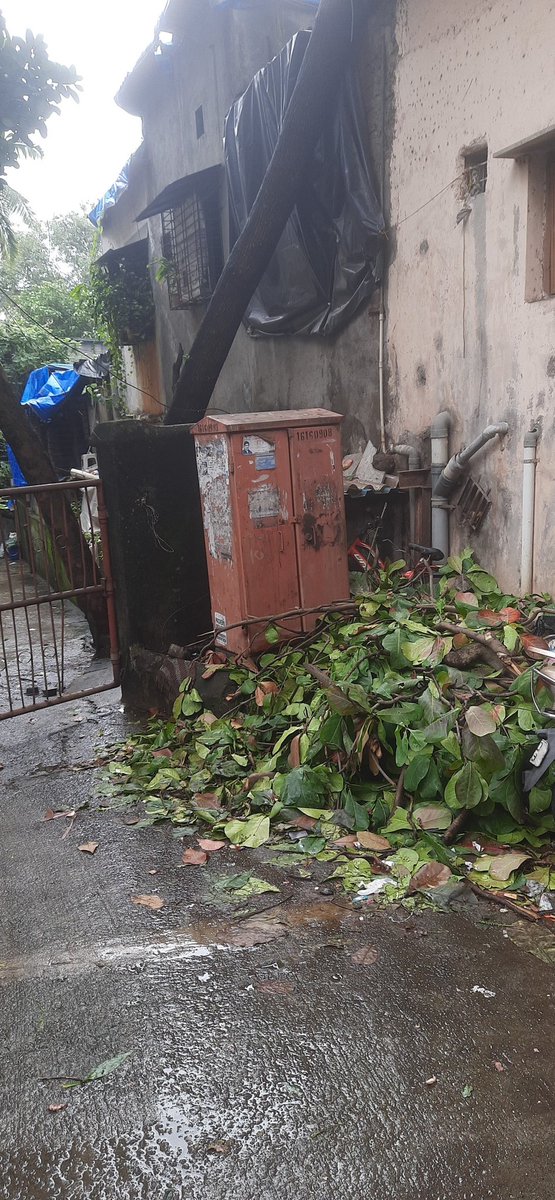 Anil_2912's tweet photo. Tree twigs still laying for almost a week.
@mybmc @BJPWARD122 https://t.co/NooQ4TA1xH