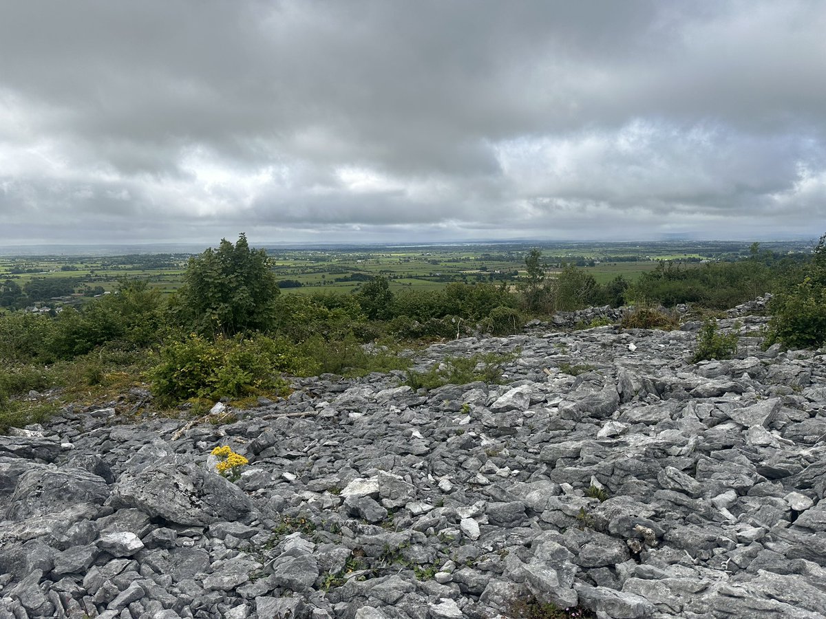 EPCDarrenForde's tweet image. All Solar Emergency EPCs are registered with the  @AmbulanceNAS using #Loc8Code. 
Designed to blend into the Background BUT Designed to be Located in an Emergency  24/7 !! 
( Thank you @SeanCanney)
#FireExtinguisher
#TraumaKit 
#Defibrillator
#HypothermicKit 
#lifeJacket 
#Trauma